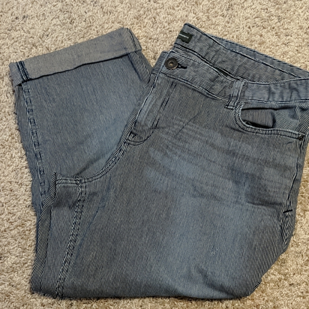 Like New Eddie Bauer Blue Stripe Cropped Pants 18